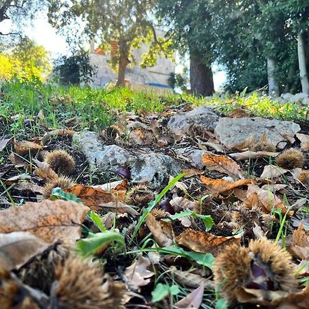 Il Trullo E Il Fortino Алберобело Екстериор снимка