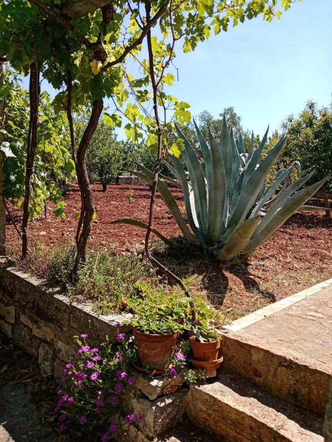 Il Trullo E Il Fortino Алберобело Екстериор снимка