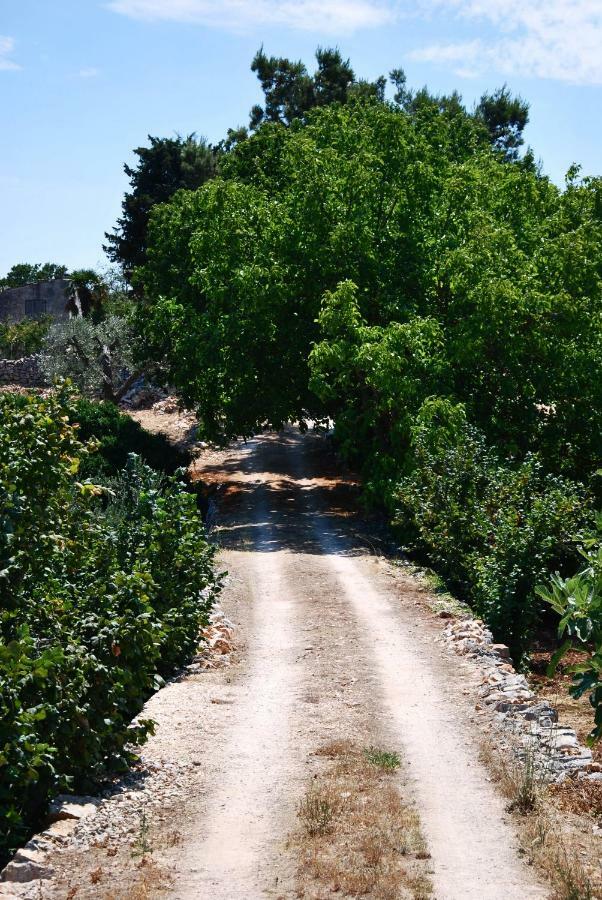 Il Trullo E Il Fortino Алберобело Екстериор снимка